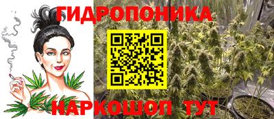 ALPHA-PVP Новозыбков