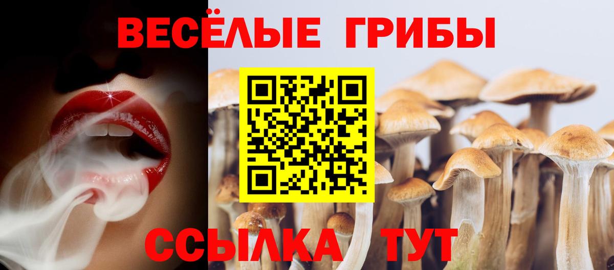 Псилоцибиновые грибы прущие грибы Севастополь